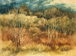Joyce Bendele - Golden.Landscape.jpg