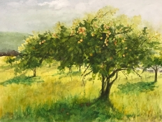 JArtist - Joyce Bendele - Apples in Gold - Honorable Mention