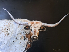 Angie.Lilljedahl - Texas Longhorn
